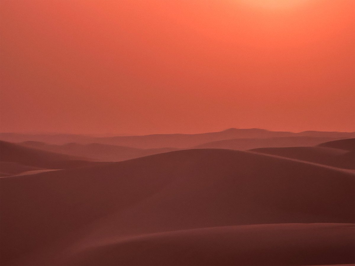dunemoviemx's tweet photo. "... en un viaje hacia esa tierra donde caminamos sin huellas."

Ha comenzado la producción de la próxima película de la trilogía Duna de Denis Villeneuve.

📷 Denis Villeneuve
📍 Arrakis https://t.co/7LjXsl6HZf