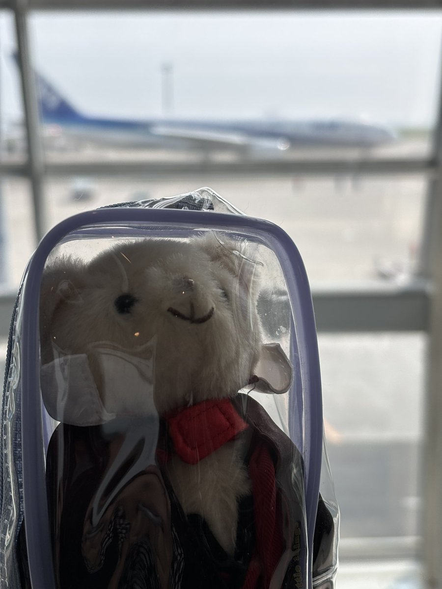 tomoko89015279's tweet photo. 羽田空港で、もうすぐ飛行機に✈️ https://t.co/XSaSeE3WHQ
