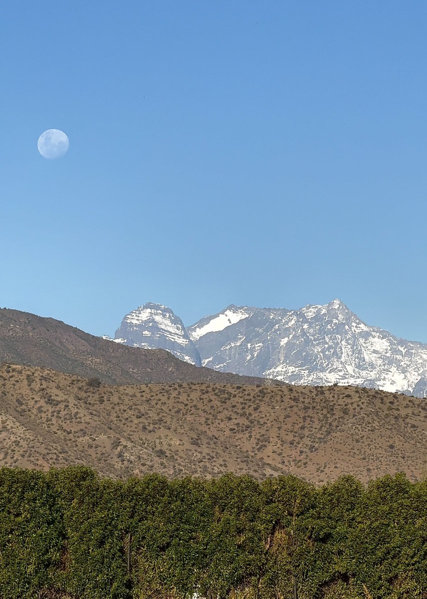 CataDeLosCerros🏔 tweet media