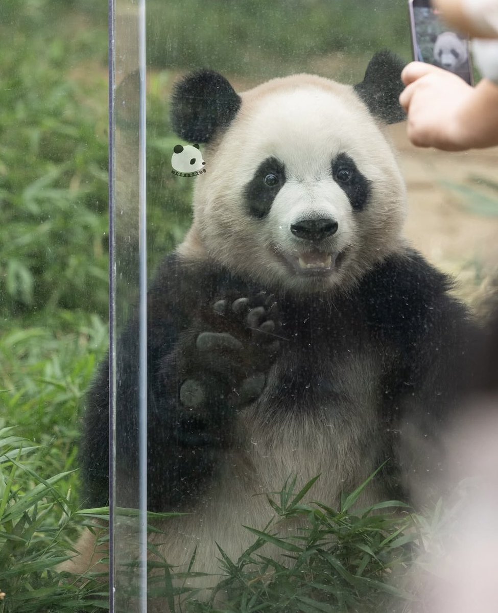 이 여름에 허락되는 해는 오로지 루햇살이뿐✊🏻