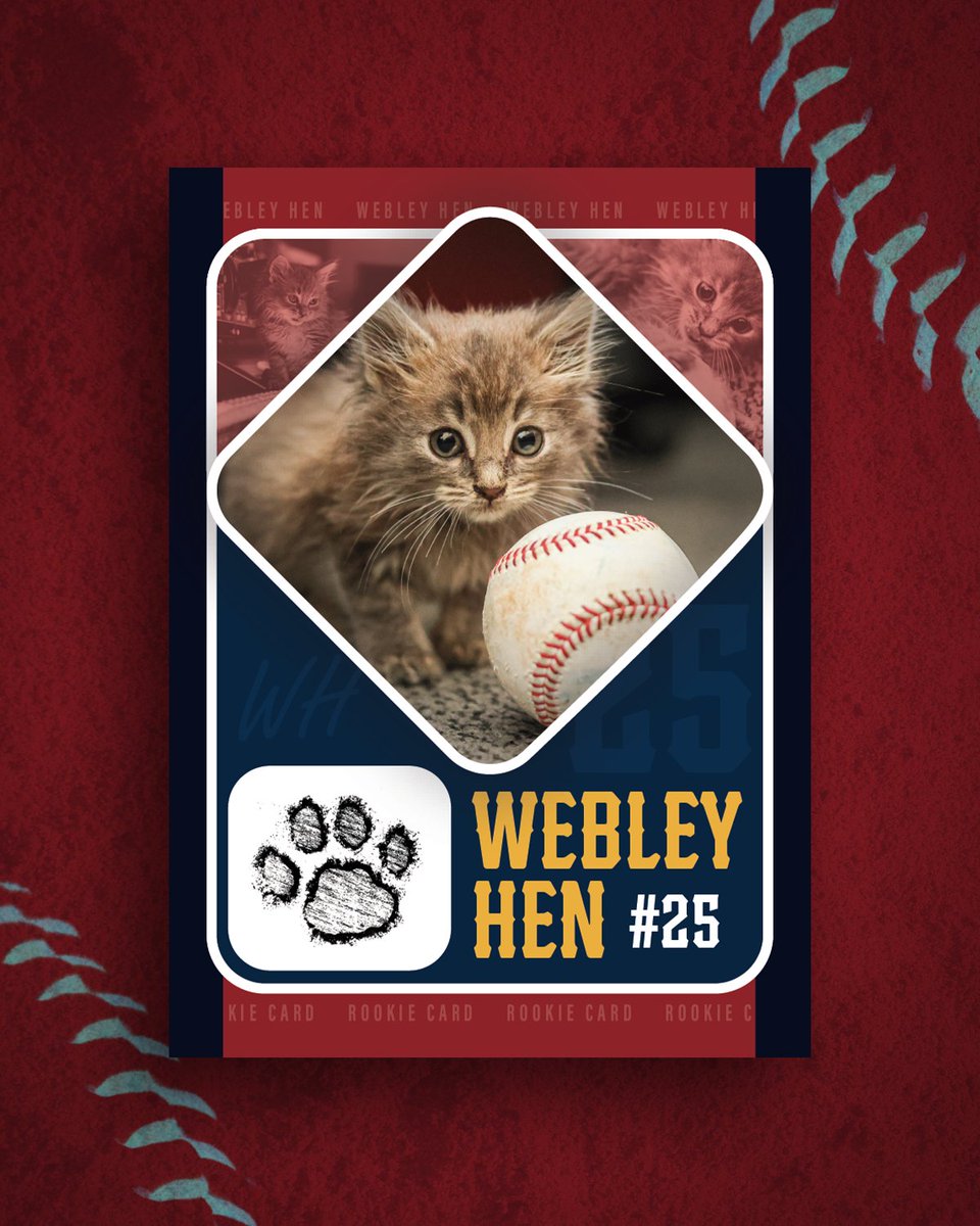 Webley Hen tweet media