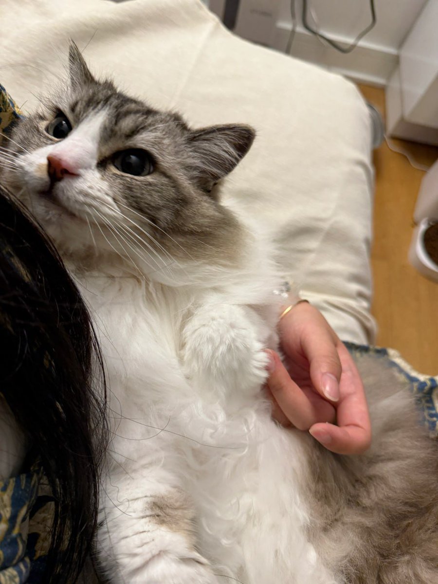 My Lily🙂💕 | How do she look ? 
#CathyDollMomentXLingOrm #LILY #fypシ