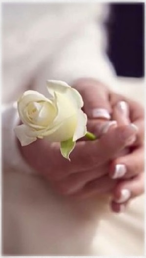 vidasucesion's tweet image. 🕊️
Damasquinas doradas
blancos crisantemos
campo de mármol
azules sueños,
el amor no tiene rostro
al dolor, descanso eterno.
🕊️