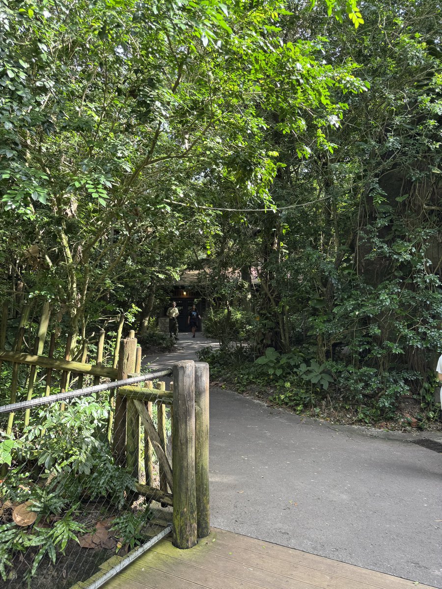 EvanPatel11's tweet image. Gorilla falls is an amazing level of immersion and storytelling. For people who like the safari, you have to like gorilla falls. A slower paced walking version of the reserve. Take your time and immerse yourself in the African wildlife and natural surroundings.