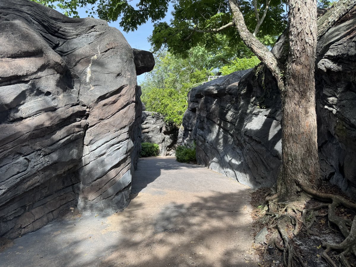 EvanPatel11's tweet image. Gorilla falls is an amazing level of immersion and storytelling. For people who like the safari, you have to like gorilla falls. A slower paced walking version of the reserve. Take your time and immerse yourself in the African wildlife and natural surroundings.