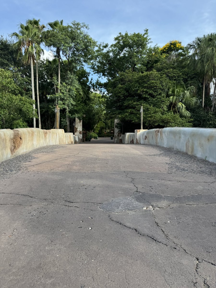 EvanPatel11's tweet image. There truly is nothing like DAK. I hope you all learned something from one of my posts today. I have so much passion for this park. The storytelling and detail are just at an amazing level. It’s no wonder I’m here all the time.