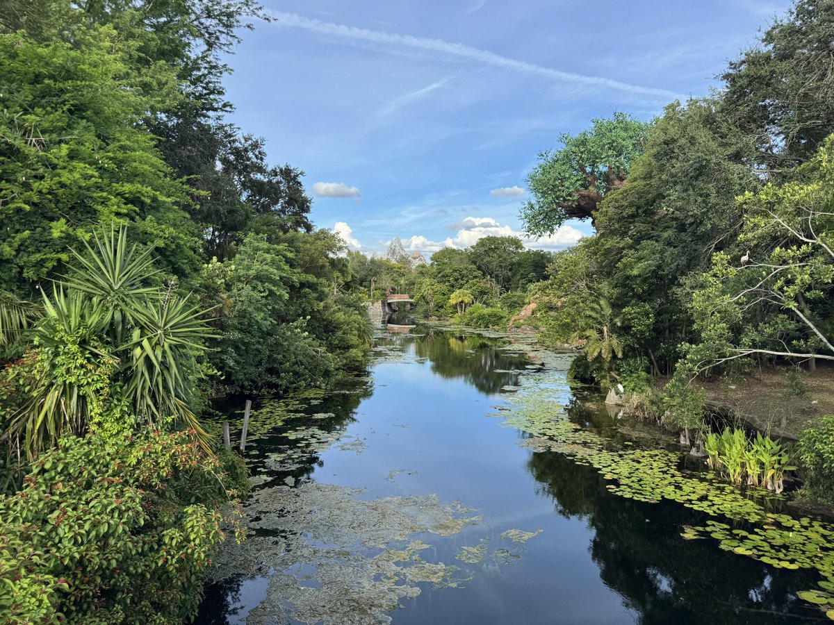 EvanPatel11's tweet image. There truly is nothing like DAK. I hope you all learned something from one of my posts today. I have so much passion for this park. The storytelling and detail are just at an amazing level. It’s no wonder I’m here all the time.