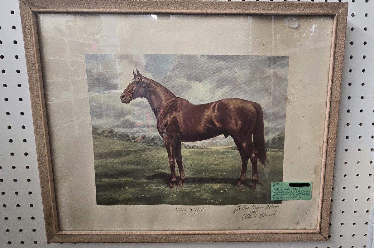 on today's episode of kentucky thrift store finds, i found the holy grail of thrift finds...

signed 1948 Allen Brewer lithograph of Man o' War

does anyone know of a Mrs. Clarence Jefferies?