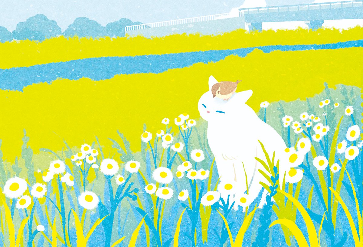 miyashitanodoka's tweet photo. 🐱🌿🌷
#PortfolioDay 
#PORTFOLIODAY2025 https://t.co/SMwqxN6L0D