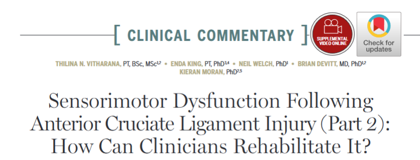 Part 2 of our #ClinicalCommentary on sensorimotor dysfunction following ACL repair is available now!

Find out "How Can Clinicians Rehabilitate It" here 👉 ow.ly/NWuS50WmHXV

#yourJOSPT #ACL #SensoriMotorDysfunction