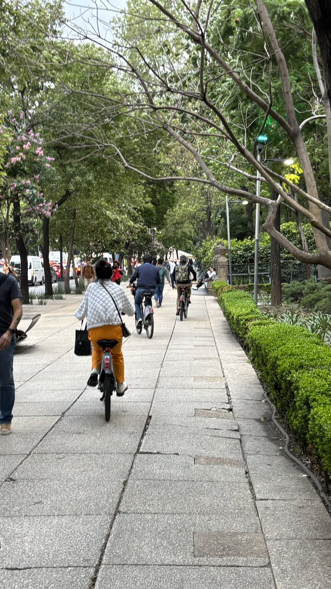 Angeles Romero (@marfeles) on Twitter photo Tus <a href="/ecobici/">ECOBICI CDMX</a> siguen pensando que son dueños de los camellones. ¿Qué toca hacer para quitarles esa idea <a href="/MIBiciCDMX/">MI Bici CDMX</a>? Tus <a href="/ecobici/">ECOBICI CDMX</a> siguen pensando que son dueños de los camellones. ¿Qué toca hacer para quitarles esa idea <a href="/MIBiciCDMX/">MI Bici CDMX</a>?