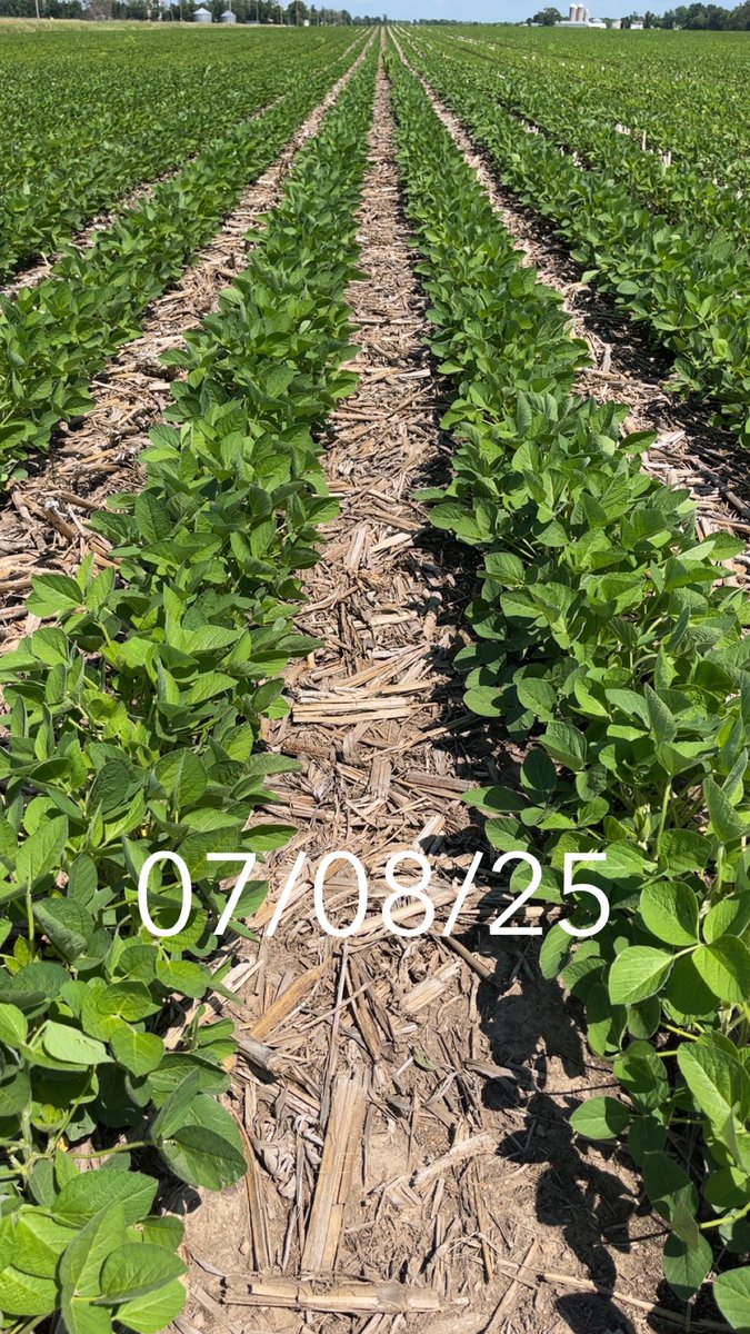 Lance from the Lower St. Croix tweet media