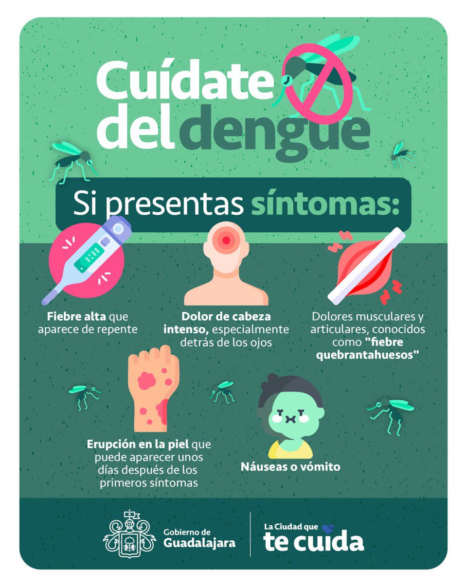 Si tú o alguien cerca de ti presenta alguno de estos síntomas, acudan a su servicio de salud más cercano. Y recuerda: lava, tapa, voltea y tira objetos y cacharros que acumulen agua, juntas y juntos podemos cuidarnos contra el dengue.