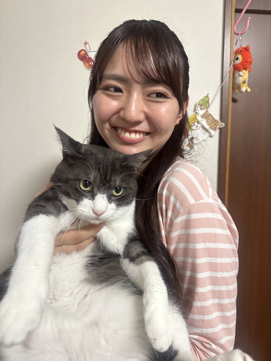 おはようぴーなっつ
うちの子たちは抱っこが苦手です
ふたりとも、早く終わんねーかなの顔してる😂