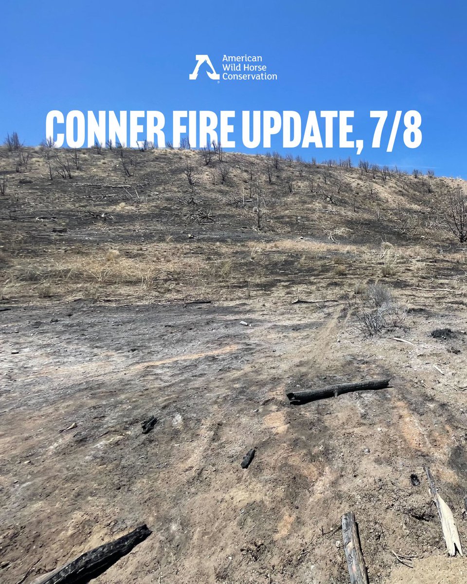 FreeWildHorses's tweet image. Conner Fire Update 🔥 As of June 30, the fire is 100% contained, after burning nearly 18,000 acres. We are deeply grateful to the firefighters who have worked tirelessly to contain the burn and prevent further spread 🙏
Firefighters continue to patrol and monitor the perimeter.