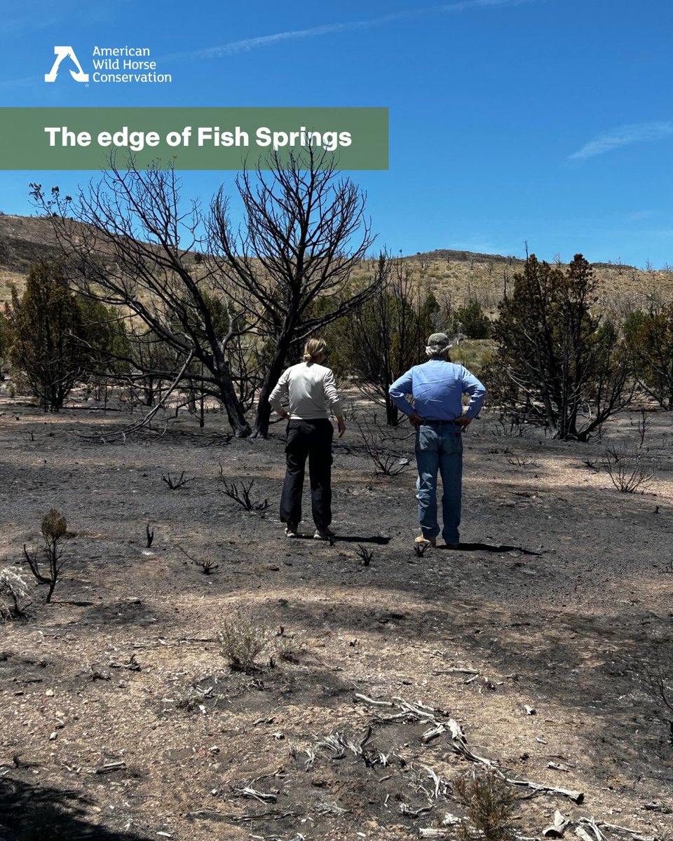 FreeWildHorses's tweet image. Conner Fire Update 🔥 As of June 30, the fire is 100% contained, after burning nearly 18,000 acres. We are deeply grateful to the firefighters who have worked tirelessly to contain the burn and prevent further spread 🙏
Firefighters continue to patrol and monitor the perimeter.