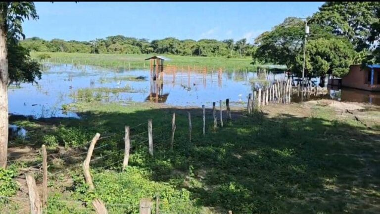 50 mil hectáreas productivas permanecen inundadas en Cojedes
unionradio.net/50-mil-hectare…