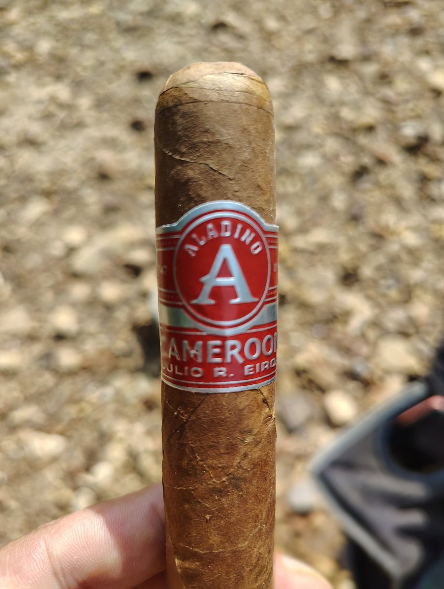 xxxKayLee699's tweet photo. 🍂Enjoying a beautiful Aladino Cameroon. The perfect companion for a relaxing moment.
#AladinoCigar #CameroonWrapper #CigarLife #Handrolled #PremiumCigar https://t.co/NlzVTJoebg