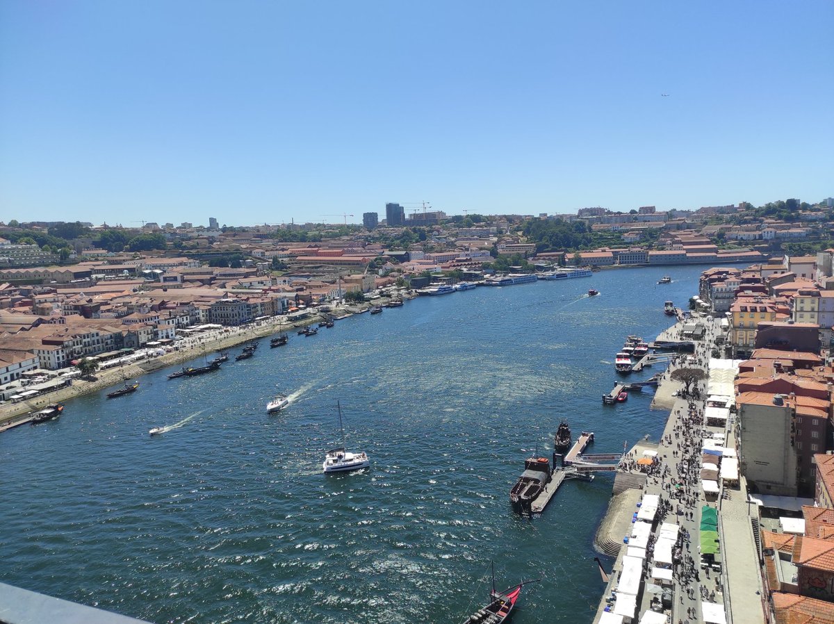 psycho(logist) bunny tweet media