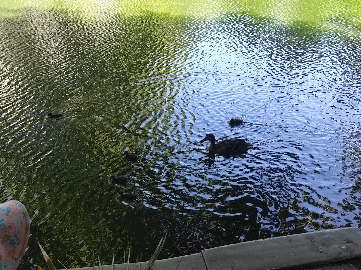 psycho(logist) bunny tweet media