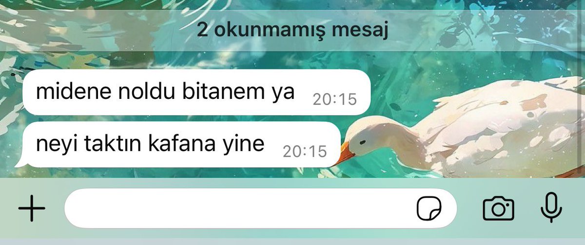 bilir o beni