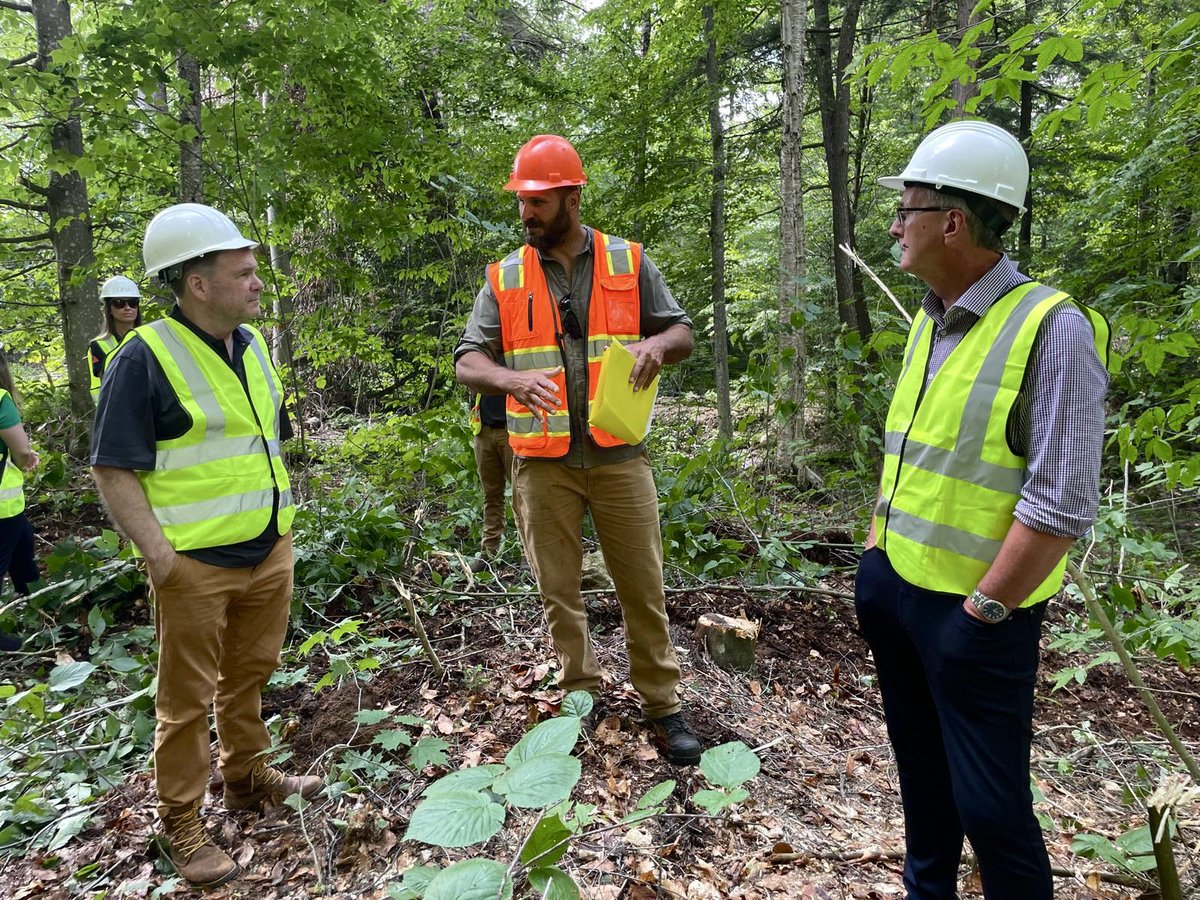Todd McCarthy (@toddjmccarthy) on Twitter photo Today, Minister <a href="/KevinHollandMPP/">Kevin Holland</a> , MPP <a href="/BillytheKidPC/">Billy Denault</a>, and I joined the Ontario Forest Industries Association and <a href="/mcraelumber/">McRae Lumber Company</a> for a unique behind-the-scenes tour of forestry activities within Algonquin Park and McRae Mill.
Forestry is permitted and carefully managed in Today, Minister <a href="/KevinHollandMPP/">Kevin Holland</a> , MPP <a href="/BillytheKidPC/">Billy Denault</a>, and I joined the Ontario Forest Industries Association and <a href="/mcraelumber/">McRae Lumber Company</a> for a unique behind-the-scenes tour of forestry activities within Algonquin Park and McRae Mill.
Forestry is permitted and carefully managed in