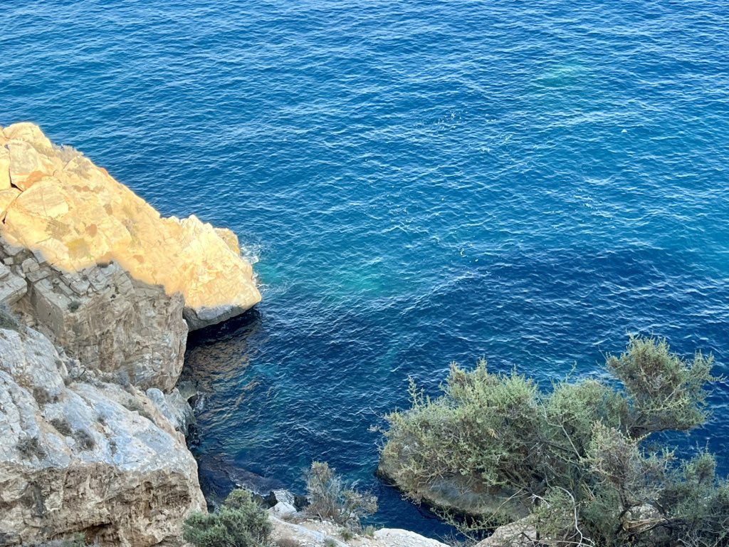 Jesus_Lens's tweet image. Hoy me fui a dar un garbeo con la bici para asomarme a la mar desde las alturas, entre Calahonda y Castell. ¡Está bonita y tranquila la mar! Sirvan con fotillos granaínas del día. #PateandoGranada #Granada #Pateandoelmundo