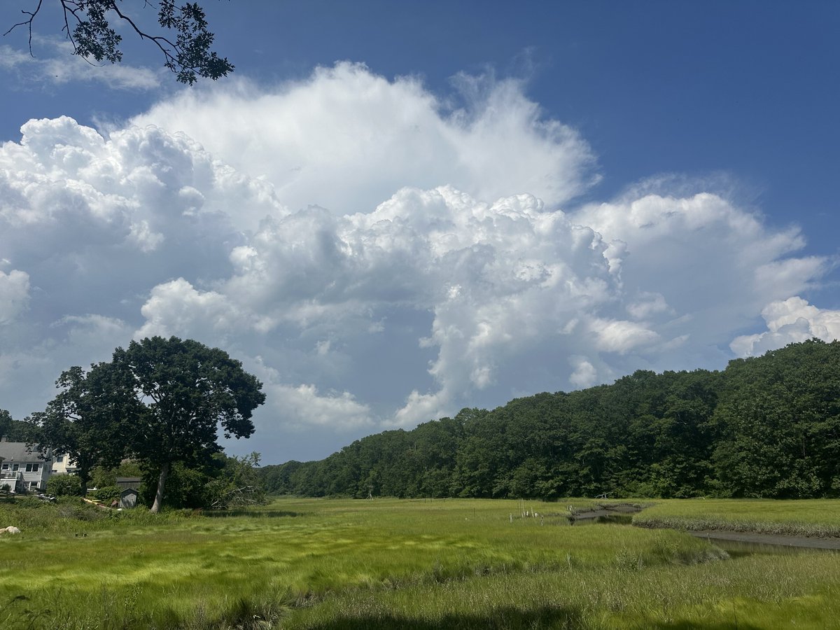 Thunderstorms went up quick north of Niantic earlier ⛈️ 

Rocky Neck informed beachgoers to return to their vehicles due to nearby lightning. Also watched 3 osprey return to their nest 🥹 #ctwx