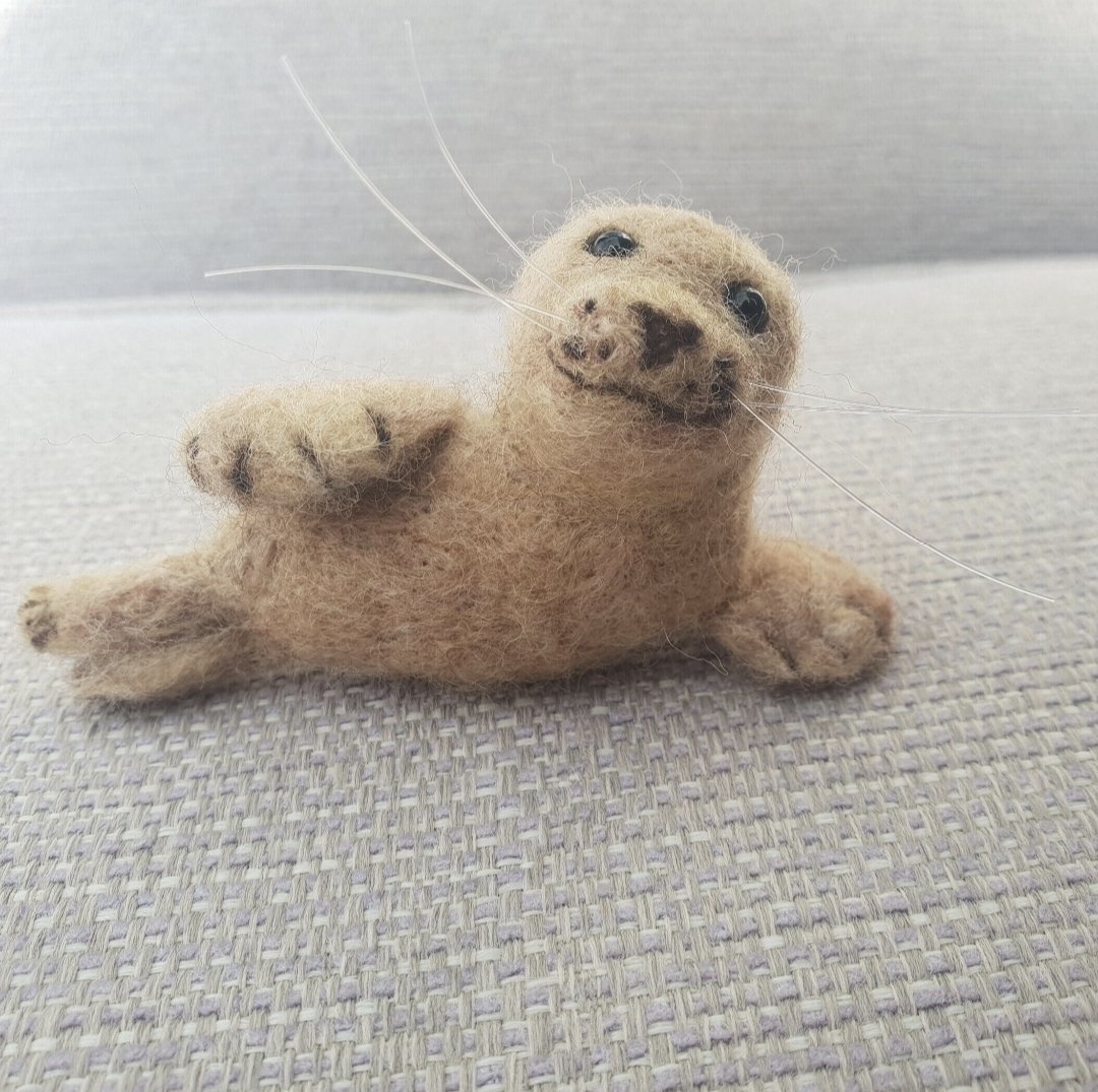 RockingFelter's tweet photo. Good evening #sbswinnershour
Hope you all had a good day. 
I completed two doggy bookmark commission orders today. Time to sit and relax for a few moments like Jeremy the seal here ❤️
https://t.co/qjZSDAPIcd https://t.co/rL5YgbjQUq