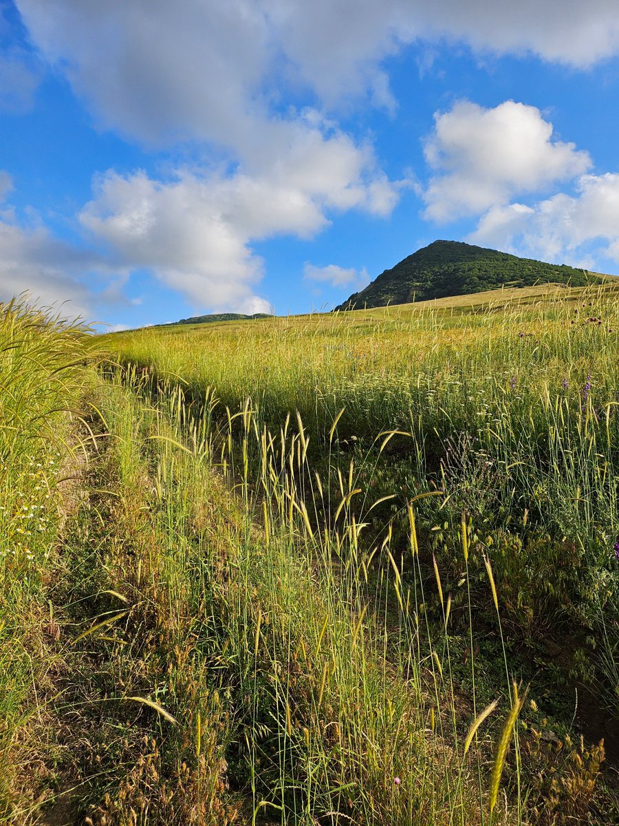 گئنه ده قاراداغ چاغیریر.