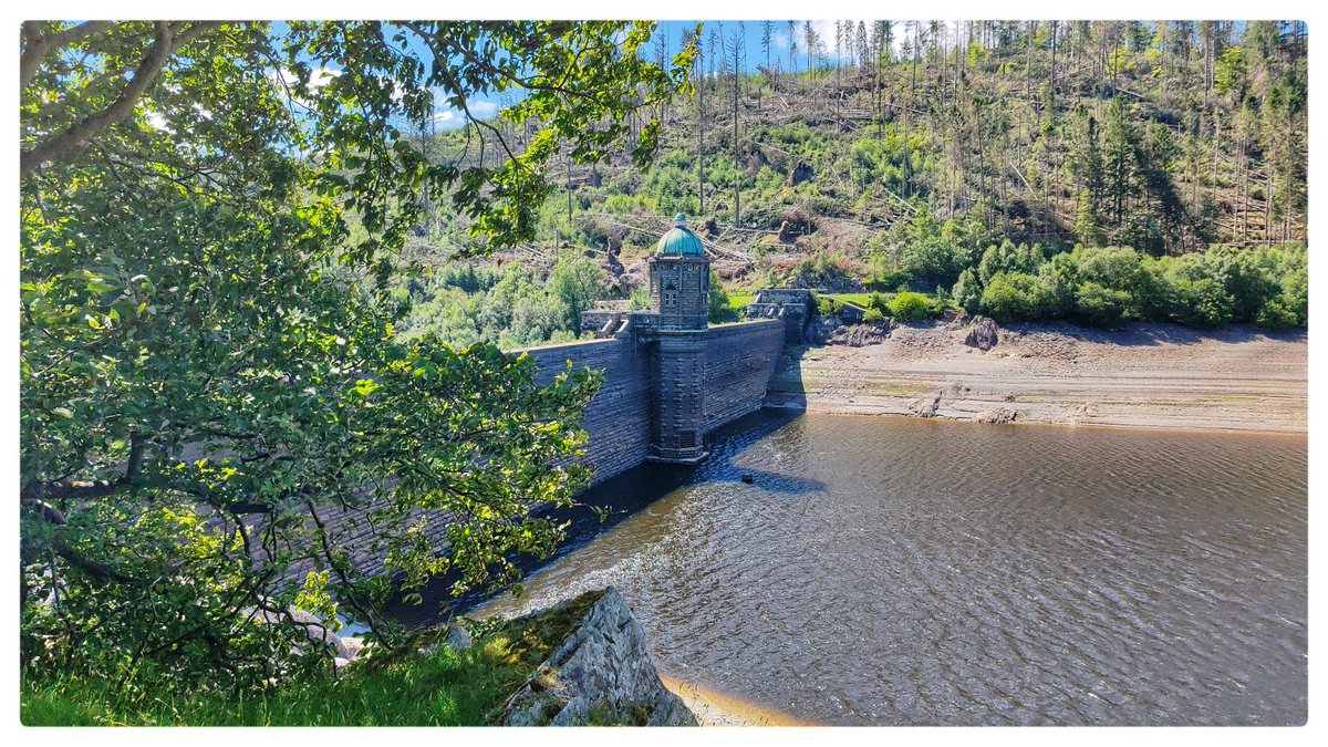 smoggiewalks's tweet image. Crugyn Ci trigpoint SN 92674 68756  #trigpointchallenge #trigpoint #elanvalley #midwales @DerekTheWeather @OrdnanceSurvey @MidWalesMyWay @DwrCymru