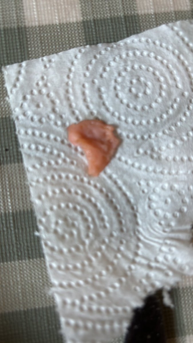 AlexTuckster's tweet photo. @LidlGB having one of your pepperoni pizzas which is usually very good but today was not as found this - please can you review and ensure this doesn’t occur again? Has made me feel a little ill https://t.co/A2grk94v4z