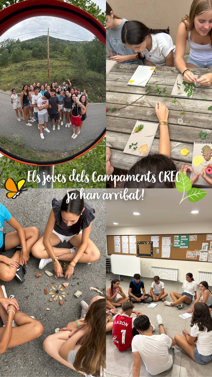 Escoles FEDAC tweet media