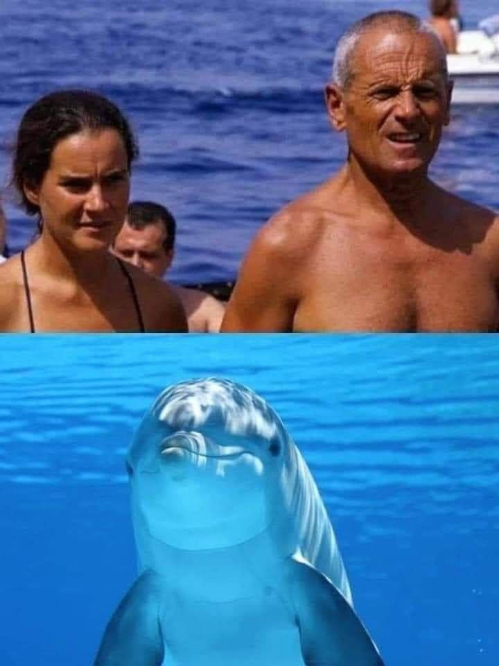 Durante un’immersione nelle acque calde di Siracusa, il celebre subacqueo italiano Enzo Maiorca stava parlando con sua figlia Rossana, rimasta a bordo della barca. Proprio mentre si preparava a tuffarsi, avvertì un tocco leggero sulla schiena. Si voltò e vide un delfino. Non si