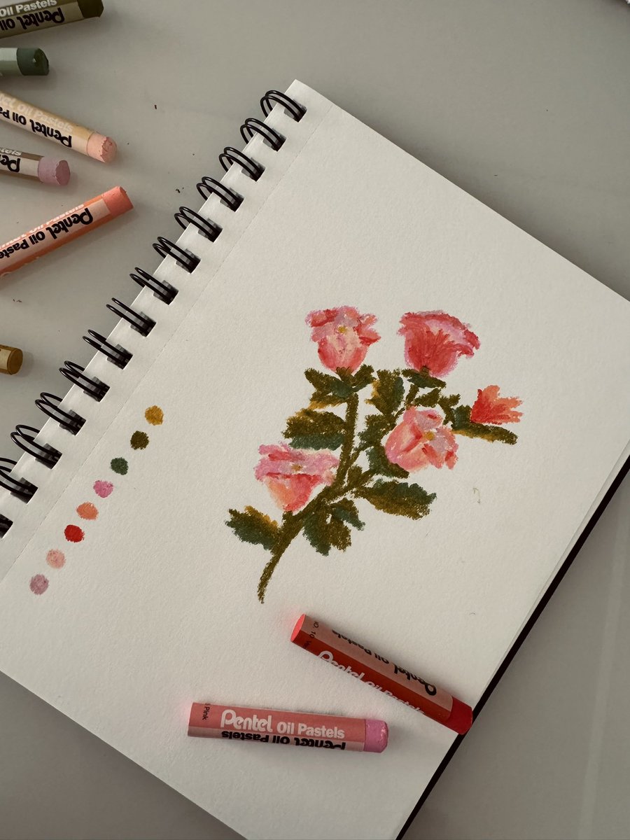 primeira tentativa com giz pastel, oq acharam?