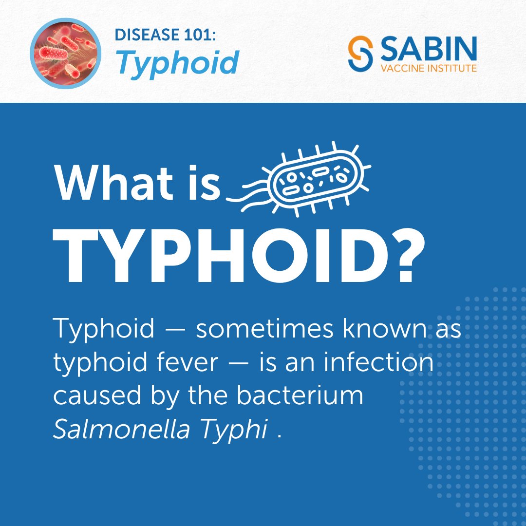 sabinvaccine's tweet image. Climate change, urbanization, and drug resistance are creating optimal conditions for #typhoid to spread. What you need to know ⤵️ 

➡️ Symptoms of typhoid include prolonged high fever, fatigue, headache, nausea, abdominal pain, constipation, and diarrhea. Some people with