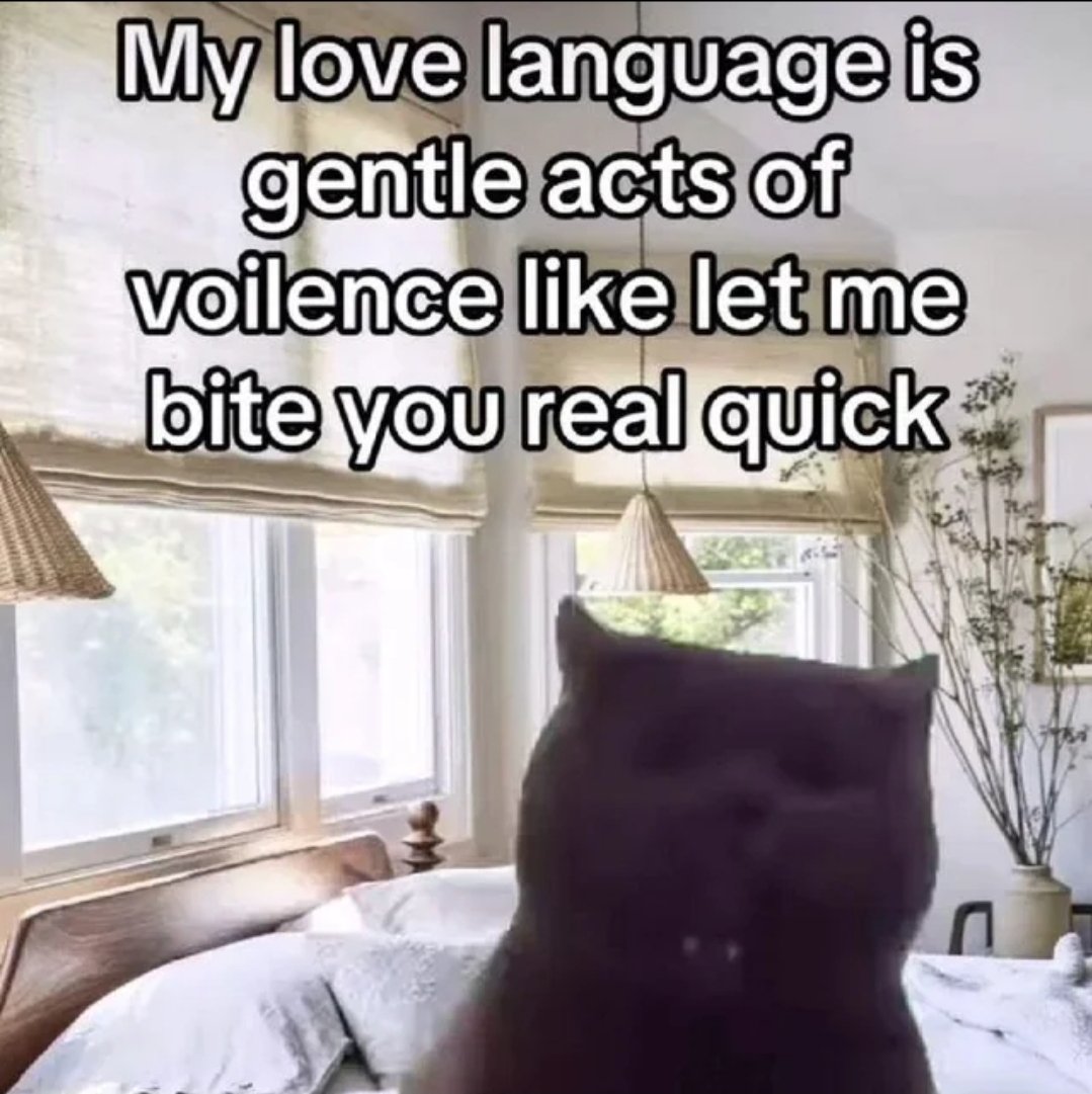LetGirlzHaveFun's tweet image. from u/Objective-Panic-6426