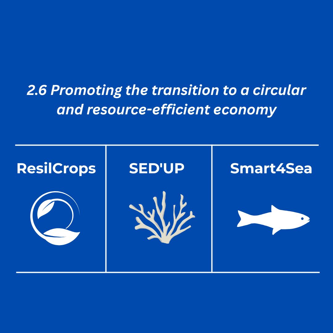 ♻️ 𝐏𝐑𝐈𝐎𝐑𝐈𝐓𝐘 𝟐 – 𝐂𝐈𝐑𝐂𝐔𝐋𝐀𝐑 &amp; 𝐑𝐄𝐒𝐎𝐔𝐑𝐂𝐄-𝐄𝐅𝐅𝐈𝐂𝐈𝐄𝐍𝐓 𝐄𝐂𝐎𝐍𝐎𝐌𝐘🌊 Under Specific Objective 2.6, three inspiring projects have been approved this month to promote a circular economy, improve resource efficiency, and reduce environmental impact.