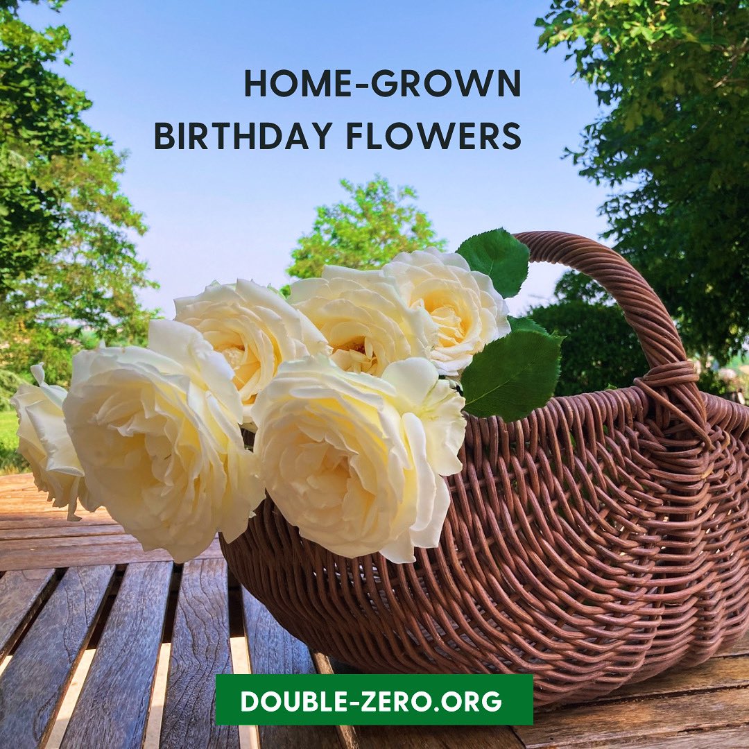 doublezero100's tweet image. Scented 🥀 , zero carbon footprint 👣 , maximum joy #homegrownflowers #sustainability double-zero.org/sustainability…