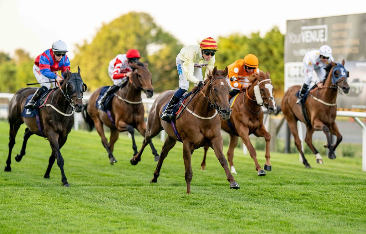 Thank you to everyone who joined us for our final evening fixture of the season! ☀️ 

We will see you in a few weeks for our 3-day Festival Of Racing 

📆 6th - 8th August

📸 <a href="/dcoolimages/">Darren Cool Images</a>