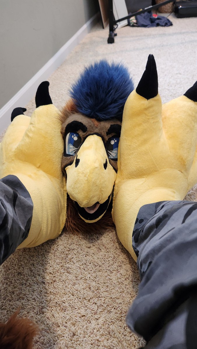 DonderHawk's tweet image. Livin it up!

#TalonTuesday