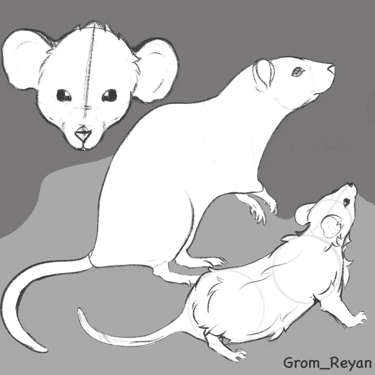 Grom_Reyan's tweet photo. My first art studies — drew some rats for practice!
Never tried sketching these lil guys before, but honestly? I kinda loved it.
#artstudy #animalstudy #sketchpractice #digitalart #myartwork #artist #digital https://t.co/miewkZjIr7