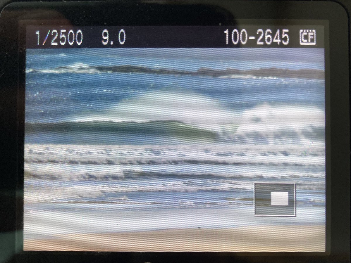 Above average day out east today #surfing #scotland