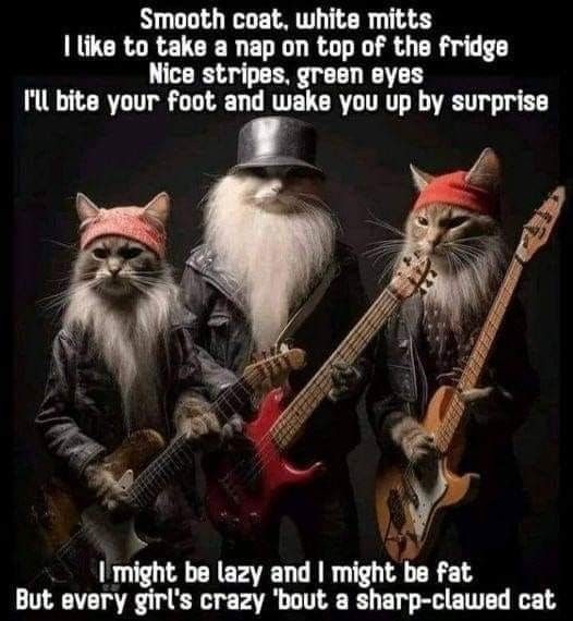 Hawwo mein wunderpawl furienz! #ECCHappyHour