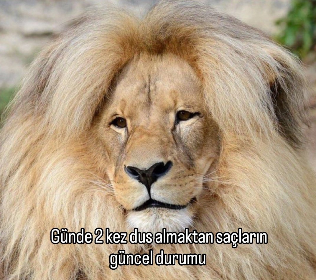 ANLIK (@anlikmod) on Twitter photo 