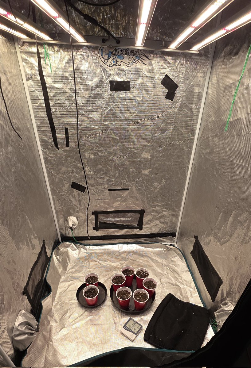 Kush KingWheez♐ tweet media