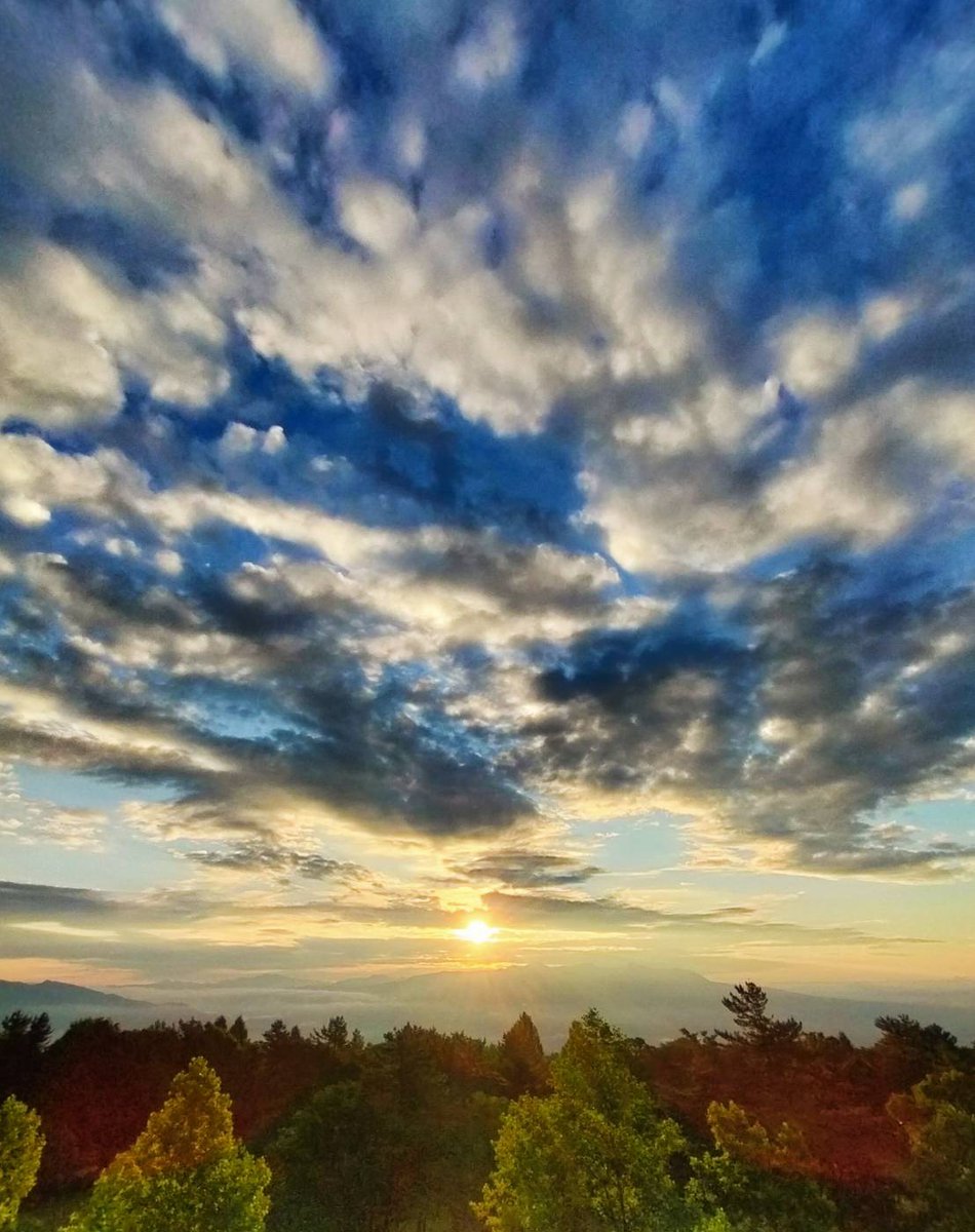 kSMSW32QEiymD2D's tweet image. 𝐺𝑜𝑜𝑑 𝑚𝑜𝑟𝑛𝑖𝑛𝑔
7月9日 ᵂᵉᵈ ☀
𝓐 𝑠𝑚𝑖𝑙𝑒 𝑖𝑠 𝑎 𝑡𝑟𝑒𝑎𝑠𝑢𝑟𝑒 🌻₊୭*
こんな私でも🤸w
五感で怯える事がある
心ない行動は
一瞬で人を傷つける
その傷が癒えるのは一生🫧
目指せ脱却−🕶
🌻 一瞬の笑顔を
一生の宝物にしたい 🌻
なんてね🤍
↓ 綺麗 *.゜ … 𝑛𝑎𝑜💍