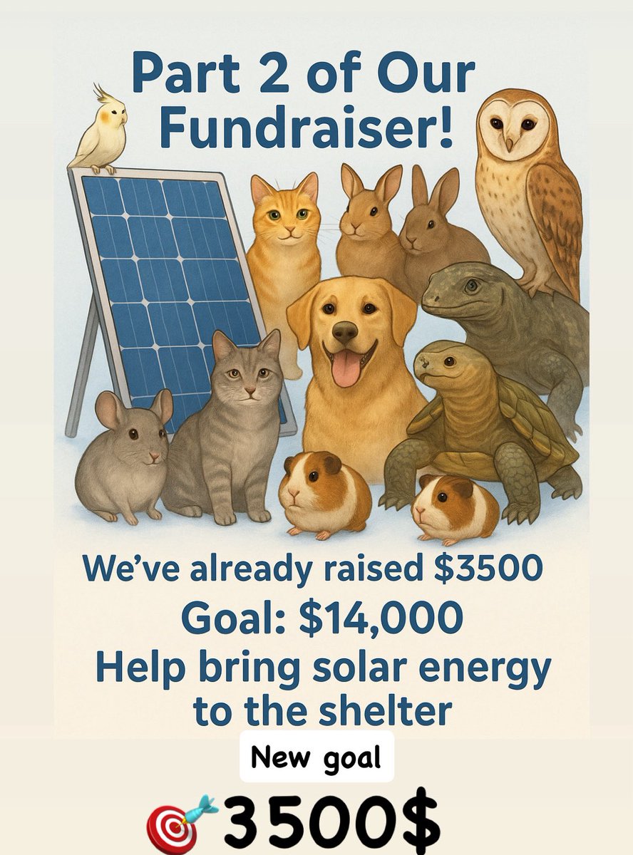 Valeria_SvoRa (@svora199) on Twitter photo Dear Svora supporters,
We are ready to start the 2nd part of the fundraiser for solar panels!
The goal is 3500$
Help us stay energy independent in a war zone!
Help us save monthly running cost!
Join us in making the shelter 🐶😻
🅿️🅿️valeriagolovanova93@gmail.com Dear Svora supporters,
We are ready to start the 2nd part of the fundraiser for solar panels!
The goal is 3500$
Help us stay energy independent in a war zone!
Help us save monthly running cost!
Join us in making the shelter 🐶😻
🅿️🅿️valeriagolovanova93@gmail.com