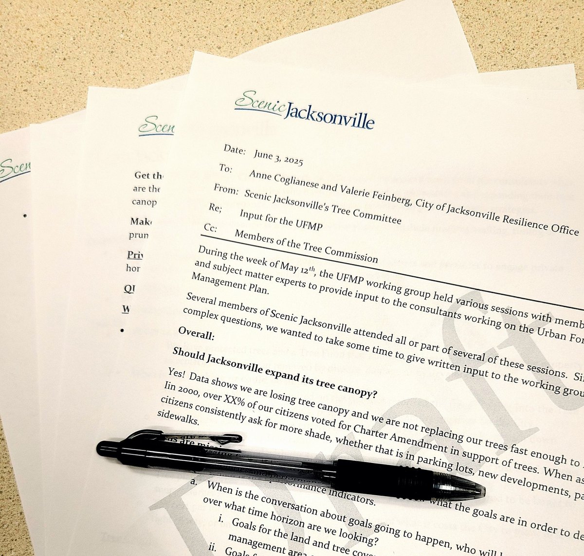 ScenicJax's tweet image. As an advocacy organization, we take pride in offering thoughtful, well-reasoned advice on any subject we engage with. Recently, we participated in a series of @cityofjax Urban Forest Management Plan workshops. ots of good ideas, good questions, and good conversations!
🤝🌲