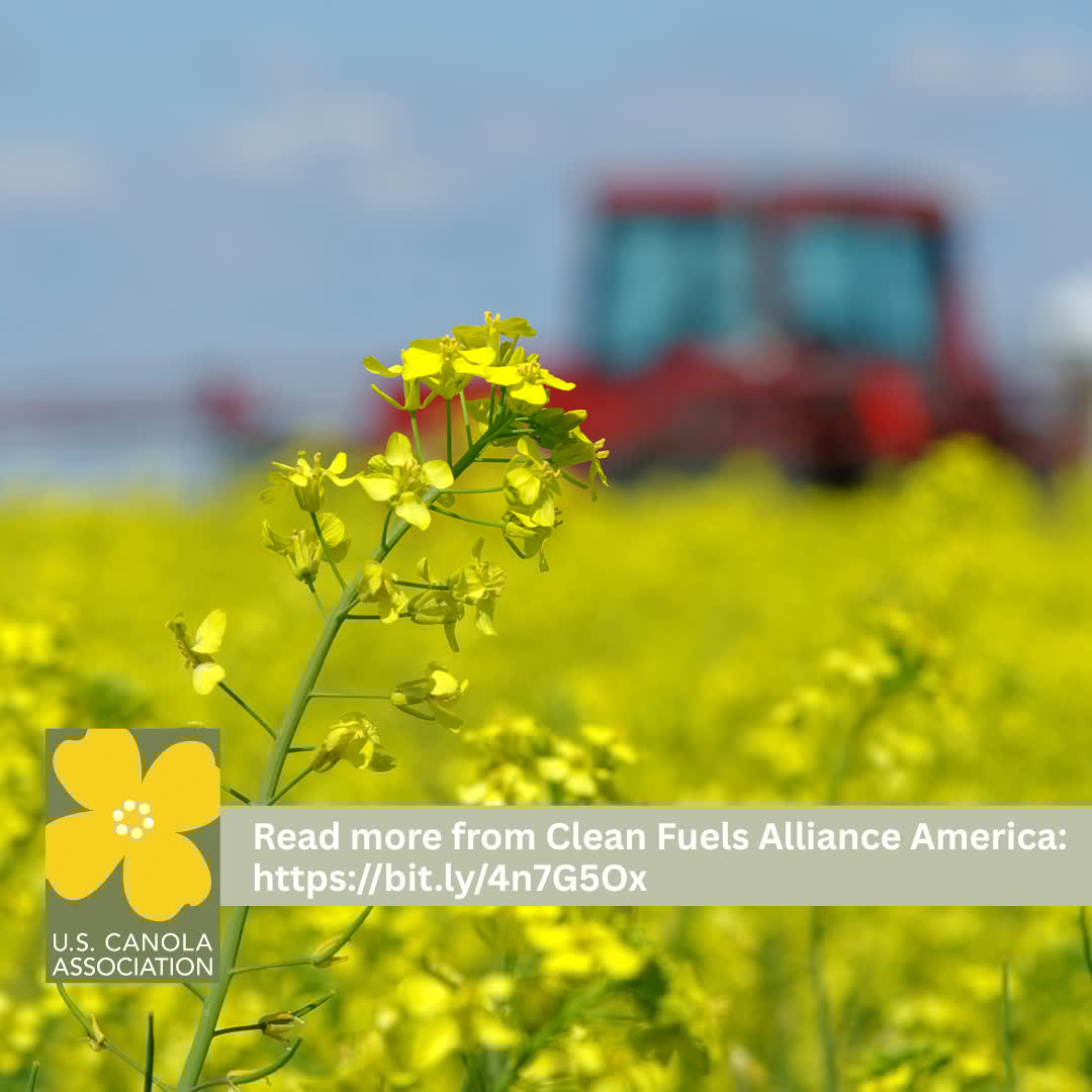 From farm to flight, #biofuels cut #emissions across the supply chain.

Why it matters:
✅ Lower carbon
✅ Made in the U.S.
✅ Works with today's engines
🔗 bit.ly/4n7G5Ox